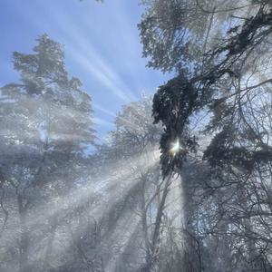 美女➕光屁屁➕韩国
