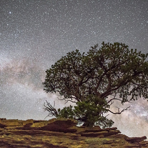 美女➕光屁屁➕韩国
